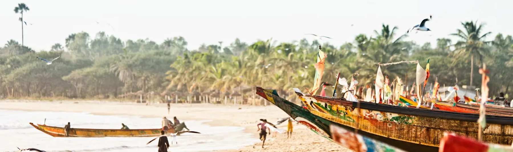 Best Time to Visit The Gambia