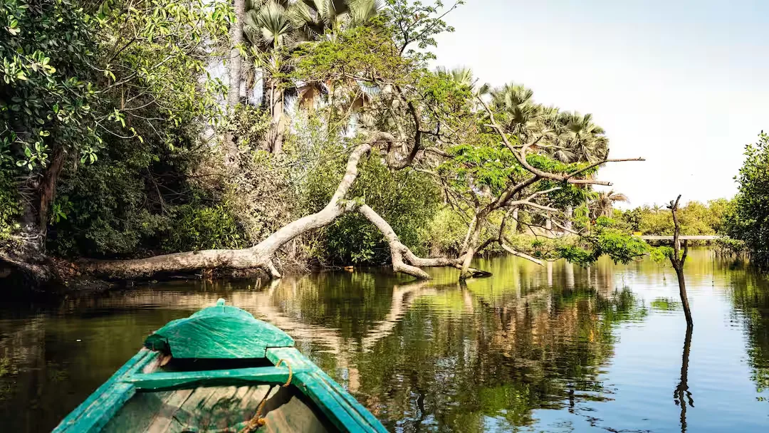 Kunta Kinteh Island and the Roots Trail