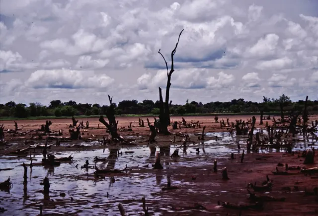 Viaje Gambia y Senegal