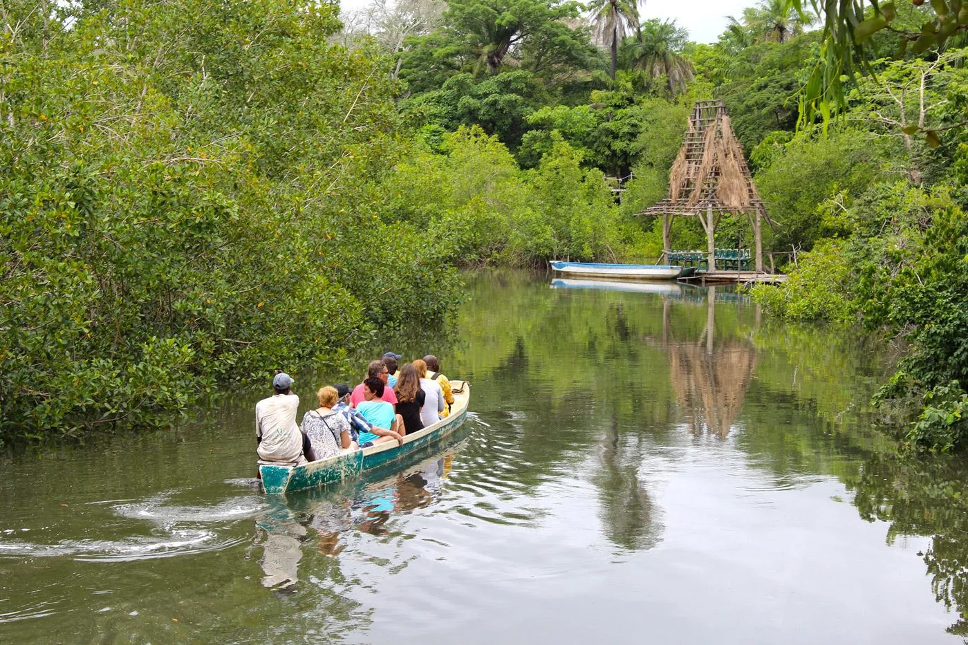 Mangrove Trips in The Gambia