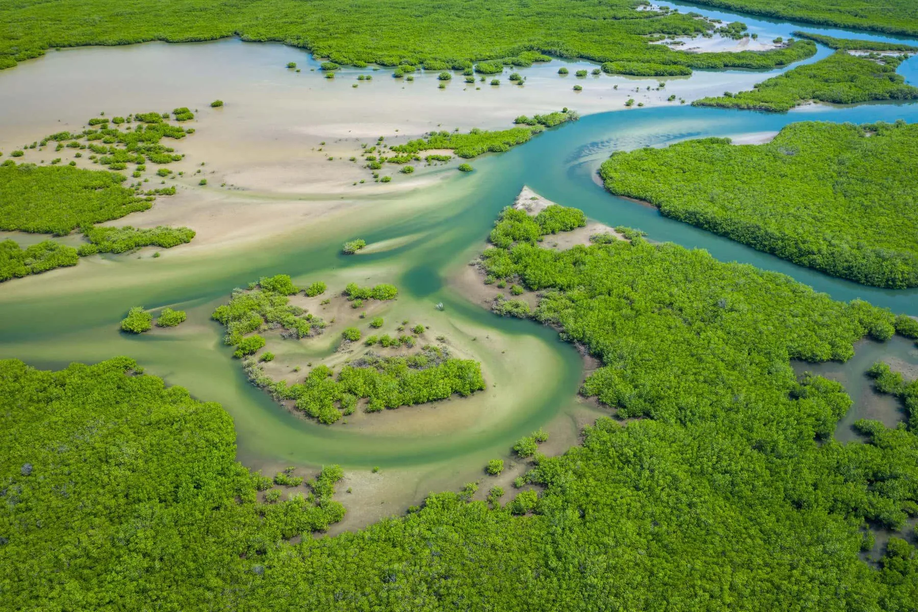 Gambia y Senegal