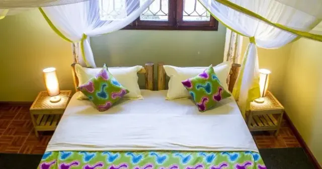 Best Time to Visit The Gambia