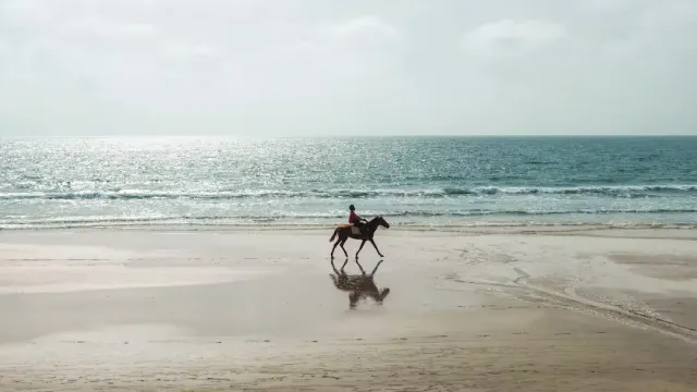 Playas de Gambia